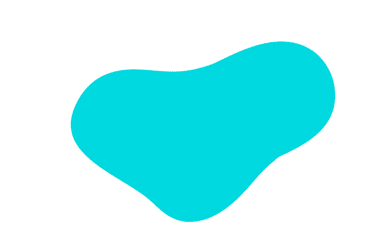 Module 2 — Research